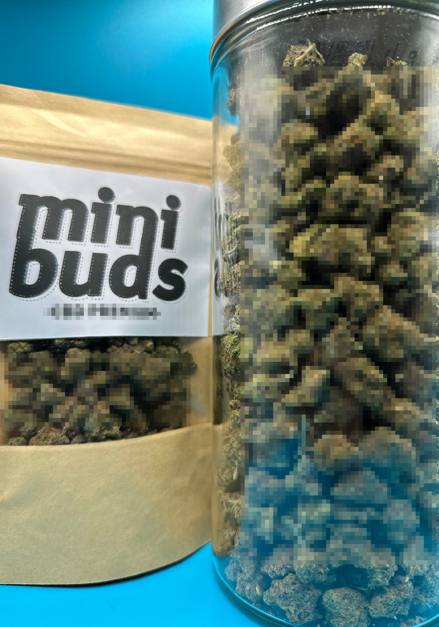 MINI BUDS